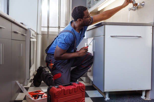 Best Commercial Plumbing Services  in Barnhart, MO